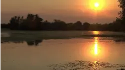 A Summer Sunset Into Water