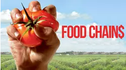 Food Chains