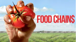 Food Chains