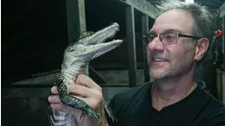 Cheeky Hamsters, Camel Humps