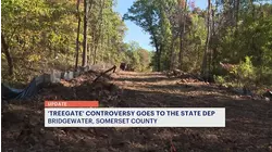 Bridgewater officials demand DEP documents regarding the cutting down of trees