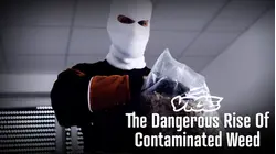 Vice | The Dangerous Rise of Contaminated Weed
