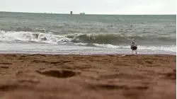 Mom, daughter critically injured by sneaker wave