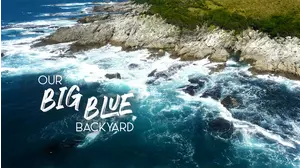 Our Big Blue Backyard