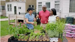 Urban Gardens, Apron Driveway