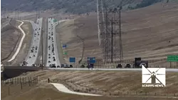 Deer collisions increase by 16% in the week following time change, study finds