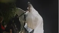 131