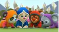 Book Hungry Bears