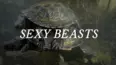 Sexy Beasts