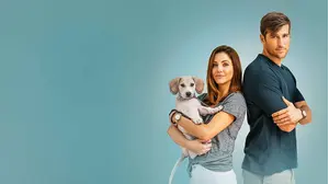 How To Train Your Husband