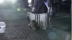 Family Dispute (5-10-2025)