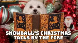 Snowball's Christmas Tails by the Fire