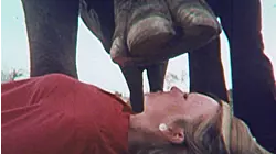 Thrillseekers : Tent Pegging, Margie The Elephant & Paragliding!