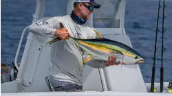 Bimini Yellowfin