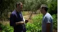 Ottolenghi's Mediterranean Island Feast