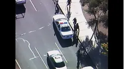 World's Wildest Police Videos