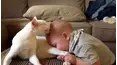 Best Pets of the Month