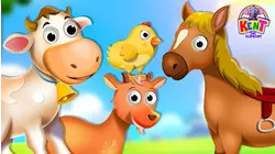 Baby Animals