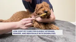 Low-cost veterinary care available for eligible veterans, seniors and individuals with disabilities