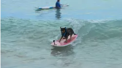 World's Record Holder