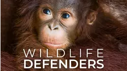 Wildlife Defenders S3 Ep. 1
