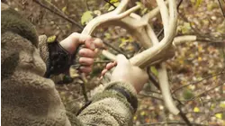 Rival Wild S6:E5 "Last Night Giant"