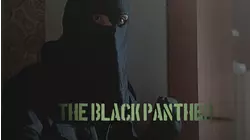 The Black Panther
