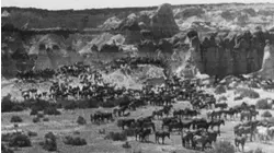 Adventures of Champion: Ep 7 - Canyon of Wanted Men (1955)