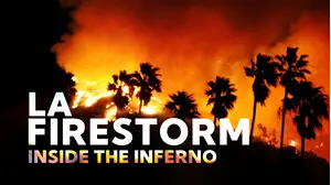 LA Firestorm