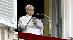 Pope Leo Returns to Roar of Applause After Lung Cancer Surgery