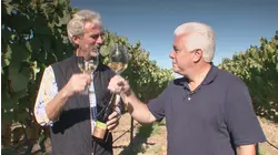 Sustainability in Practice