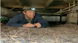 Today's Homeowner with Danny Lipford