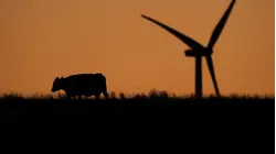 Study links rural renewable projects to economic gains