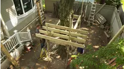 Belmont Victorian | This Old Tree House