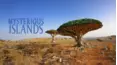 Mysterious Islands