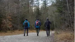 New study shows frequent 5 minute walks can have big impact on you health
