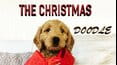 The Christmas Doodle