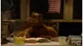 ALF