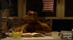 ALF: S1 E20 - Lookin' Through the Windows