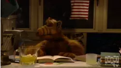 ALF: S1 E20 - Lookin' Through the Windows