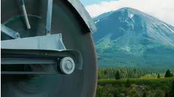 Company's Coming