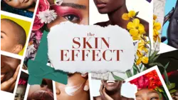 The Skin Effect