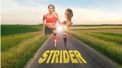 Strider