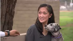 'She started just twitching:' Dog hospitalized after ingesting meth at Los Alamitos park