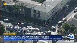 7-year-old child found dead in freezer at Lynwood apartment
