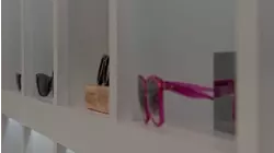 Missouri City business owner says repeat eyewear thief stole thousands in merchandise on camera