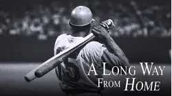 A Long Way from Home: The Untold Story of Baseball's Desegregation