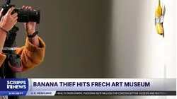 Banana stolen from Cattelan's 'Comedian' at French museum