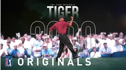 Tiger 2000