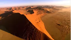 Namibia - Fauna and Sands
